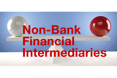 Trung gian tài chính phi ngân hàng (Non-Bank Financial Intermediaries) là gì?