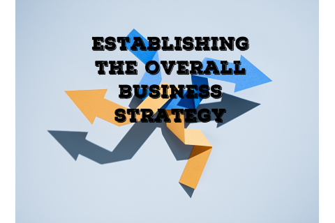 Xác lập chiến lược kinh doanh tổng thể (establishing the overall business strategy) là gì?