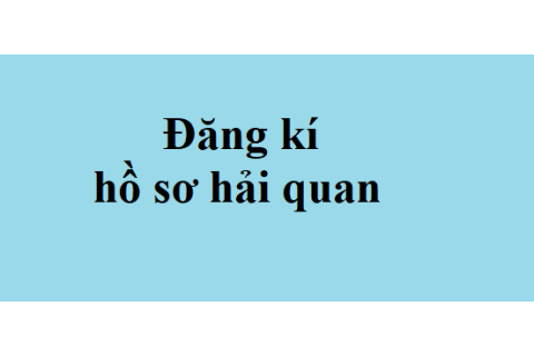 Đăng kí hồ sơ hải quan là gì? Những điều cần lưu ý khi đăng kí hồ sơ hải quan