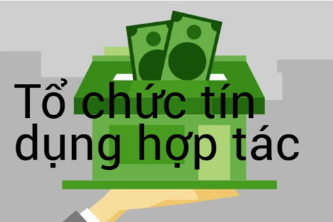 Tổ chức tín dụng hợp tác (Cooperative Credit Institutions) là gì?