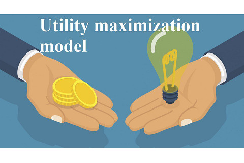 Giả định người tiêu dùng muốn tối đa hóa độ thỏa dụng (Utility maximization model) là gì?