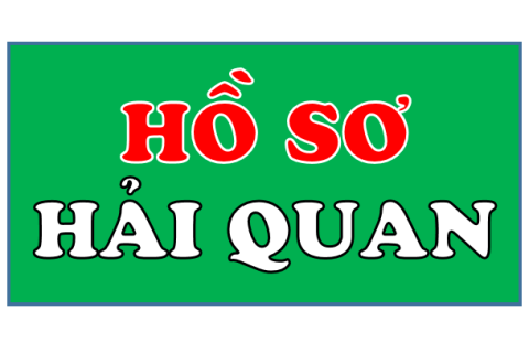 Hồ sơ hải quan (Customs file) là gì? Các chứng từ của hồ sơ hải quan