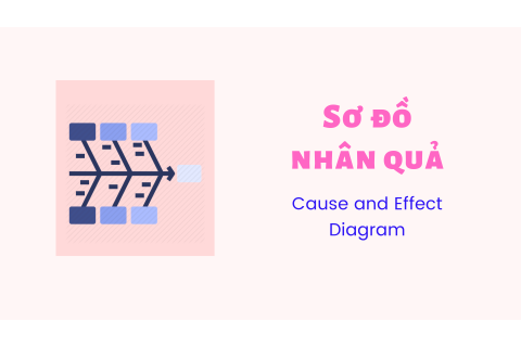 Sơ đồ nhân quả (Cause and Effect Diagram) là gì?