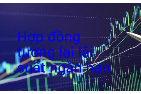 Hợp đồng tương lai lãi suất ngắn hạn (Short-Term Interest Rate Futures Contract) là gì?