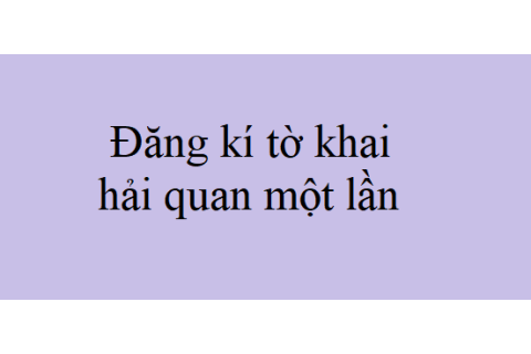 Đăng kí tờ khai hải quan một lần là gì? Nội dung cần lưu ý khi đăng kí