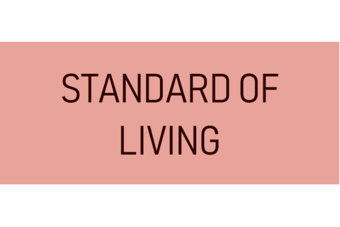 Mức sống (Standard of Living) là gì? Ví dụ về đo lường mức sống