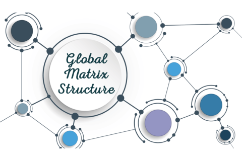 Cấu trúc ma trận toàn cầu (Global matrix organization structure) là gì? Ưu và nhược điểm