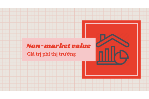 Giá trị phi thị trường (Non-market value) trong định giá là gì?