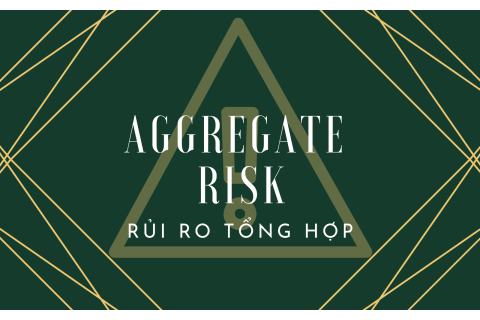 Rủi ro tổng hợp (Aggregate Risk) là gì?