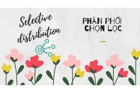 Phân phối chọn lọc (Selective distribution) là gì?