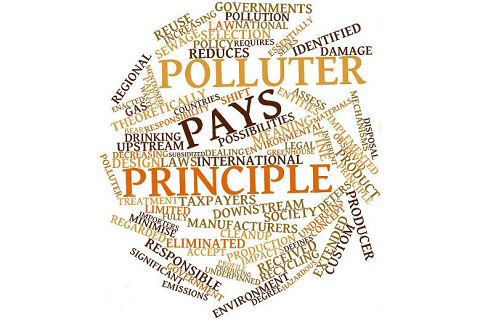 Nguyên tắc 'Người gây ô nhiễm phải trả tiền' (The Polluter-Pays Principle) là gì?