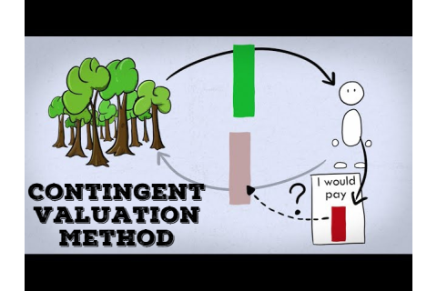 Phương pháp đánh giá ngẫu nhiên (Contingent Valuation Method) là gì?