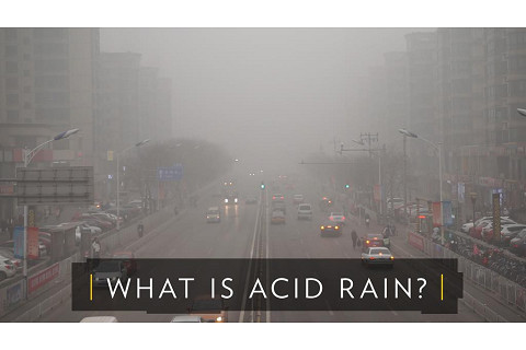 Mưa axit (Acid rain) là gì? Tác hại và biện pháp