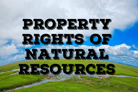 Quyền sở hữu một tài nguyên (Property Rights of Natural Resources) là gì?