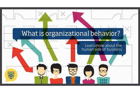 Hành vi tổ chức (Organizational Behavior) là gì? Sự cần thiết và vai trò của hành vi tổ chức