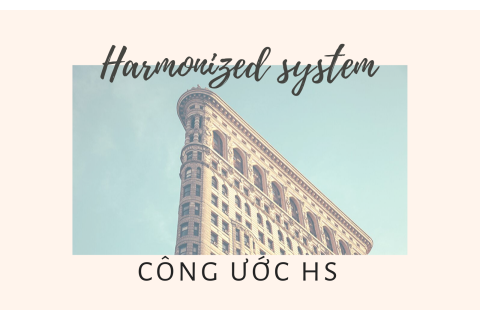 Công ước HS (Harmonized system) là gì? Công ước HS đối với các nước đang phát triển