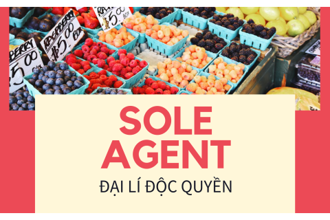 Đại lí độc quyền (Sole agent) là gì? Quyền và nghĩa vụ của bên đại lí độc quyền