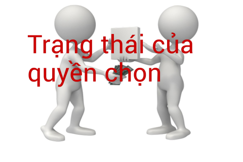 Trạng thái của quyền chọn (Status Of The Option) là gì?