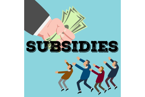 Trợ cấp (Subsidies) trong kinh tế tài nguyên môi trường là gì?