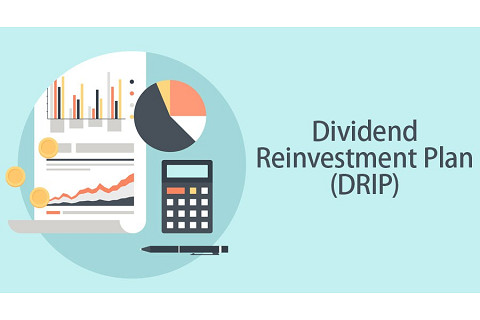 Kế hoạch tái đầu tư cổ tức (Dividend Reinvestment Plan - DRIP) là gì? Đặc điểm và lợi ích