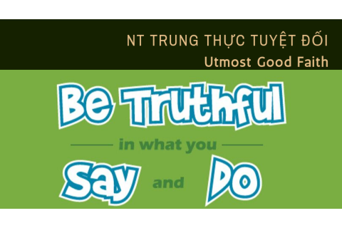 Nguyên tắc trung thực tuyệt đối (Utmost Good Faith) trong bảo hiểm là gì?