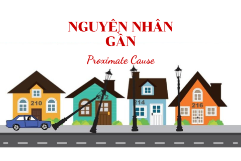 Nguyên nhân gần (Proximate Cause) là gì? Nội dung nguyên tắc trong bảo hiểm