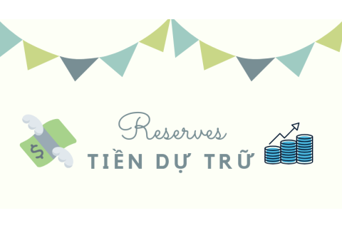 Tiền dự trữ (Reserves) là gì? Phân loại tiền dự trữ