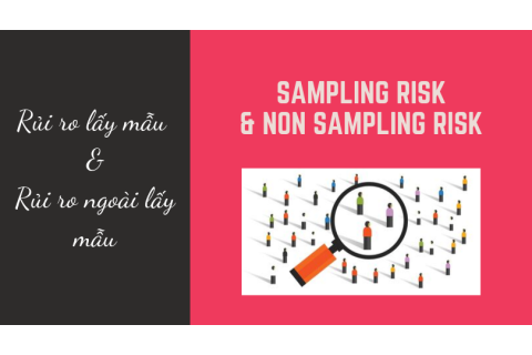 Rủi ro lấy mẫu (Sampling risk) và rủi ro ngoài lấy mẫu (Non sampling risk) là gì?