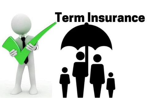 Bảo hiểm tử kì (Term insurance) là gì?