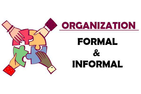 Tổ chức chính thức và phi chính thức (Informal organization and formal organization) là gì?