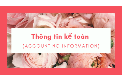 Thông tin kế toán (Accounting information) là gì? Yêu cầu đối với thông tin kế toán