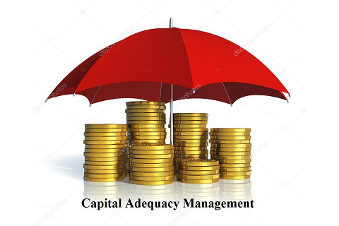 Quản lí vốn chủ sở hữu (Capital Adequacy Management) là gì?