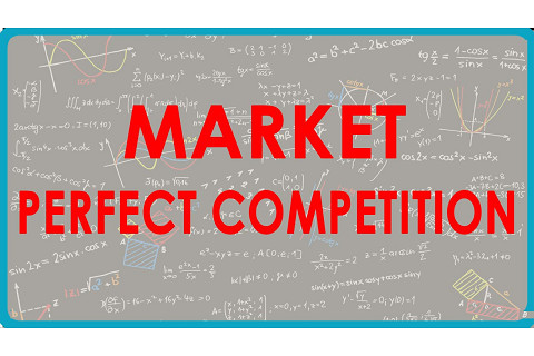 Thị trường cạnh tranh hoàn hảo (Perfectly competitive market) là gì? Đặc trưng