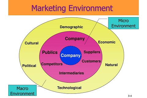 Môi trường marketing vi mô (micro marketing environment) là gì?