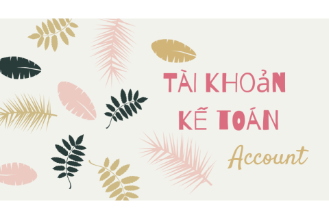 Tài khoản kế toán (Account) là gì? Phân loại tài khoản kế toán