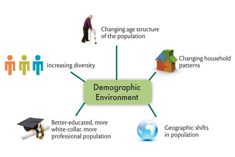 Môi trường nhân khẩu học (Demographic environment) trong marketing là gì?