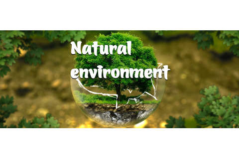 Môi trường tự nhiên (Natural environment) trong marketing là gì?