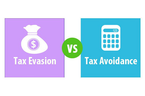 Trốn thuế (Tax Evasion) và Tránh thuế (Tax Avoidance) là gì? Phân biệt trốn thuế và tránh thuế