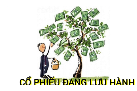 Cổ phiếu đang lưu hành (Shares Outstanding) là gì? Những đặc điểm cần lưu ý