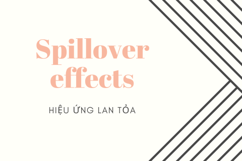 Hiệu ứng lan tỏa (Spillover effects) là gì? Nội dung về Hiệu ứng lan tỏa