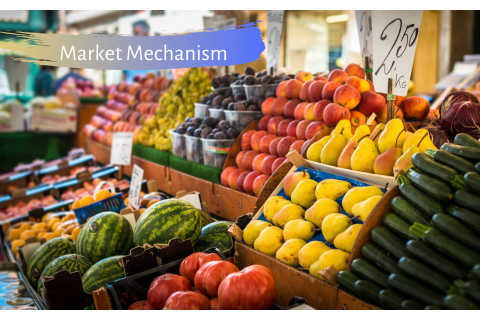 Cơ chế thị trường (Market Mechanism) là gì?