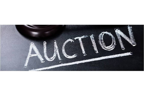 Thị trường đấu giá (Auction Market) là gì? Nội dung