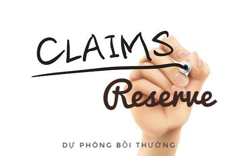 Dự phòng bồi thường (Claims Reserve) là gì? Các phương pháp xác định dự phòng bồi thường