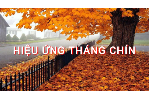 Hiệu ứng tháng chín (September Effect) là gì? Những đặc điểm cần lưu ý