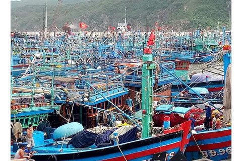 Cảng cá (Fish Harbour) là gì? Phân loại cảng cá