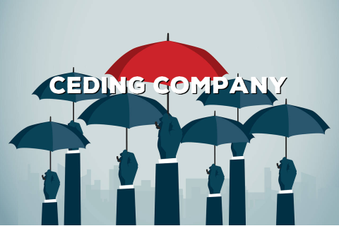 Công ty chuyển nhượng (Ceding Company) là gì? Các loại tái bảo hiểm dành cho công ty chuyển nhượng