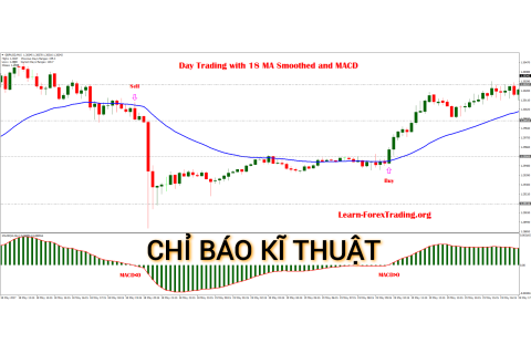 Chỉ báo kĩ thuật (Technical Indicator) là gì? Những đặc điểm cần lưu ý