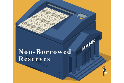 Dự trữ không phải tiền vay (Non-Borrowed Reserves) là gì? Đặc điểm