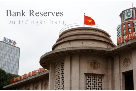 Dự trữ ngân hàng (Bank Reserves) là gì? Đặc điểm Dự trữ ngân hàng