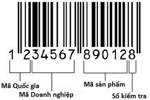 Mã vạch EAN (European Article Number) là gì? Đặc trưng của mã vạch EAN